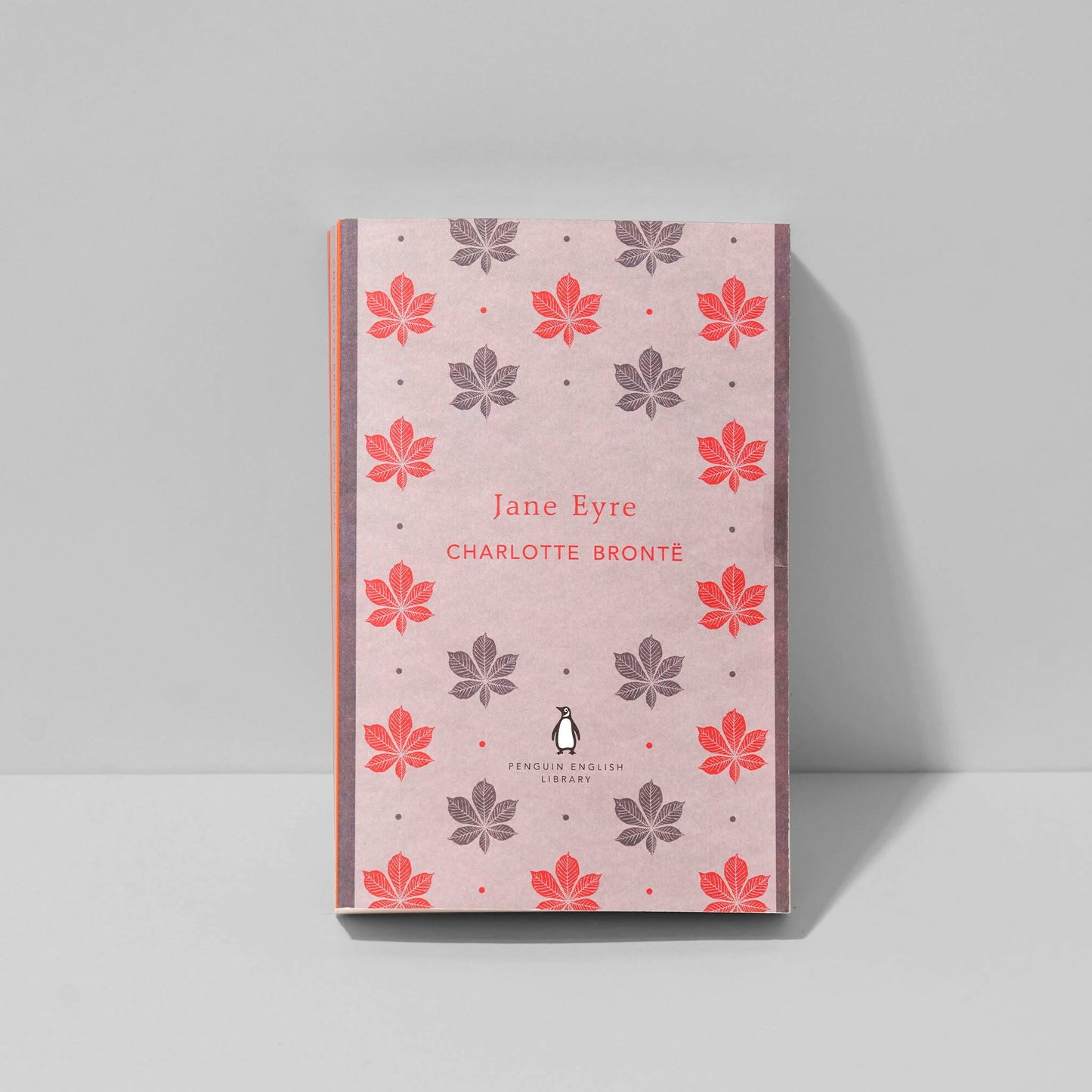 Jane Eyre by Charlotte Bronte